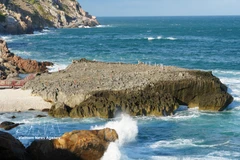 Unique natural splendour of Hang Rai in Nui Chua National Park