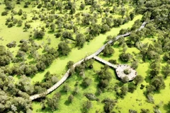 An Giang becomes globally competitive tourism hotspot