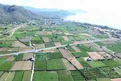 The Ninh Thuan 2 nuclear power plant project will cover 643 hectares in Thai An village, Vinh Hai commune, Ninh Hai district. (Photo: VNA)