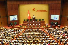 The 9th extraordinary session of the National Assembly (Photo: VNA)