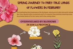 Spring journey to fairy-tale lands of flowers in February