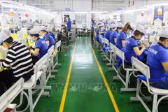 Inside Apparel Far Eastern Company Limited in Binh Duong province. (Photo: VNA)