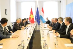 The meeting between Permanent Deputy PM Nguyen Hoa Binh and Luxembourg Minister of Finance Gilles Roth on March 21 (Photo: VNA)