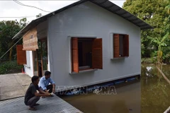 Vietnam, UNDP strengthen coastal resilience to climate change