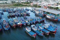 Khanh Hoa tightens fisheries management to combat IUU fishing