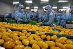 Agro-forestry-aquatic product exports increase over 13% in Q1