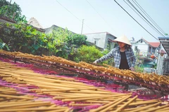 Hung Yen preserves traditional craft of aromatic incense making