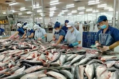 US maintains zero anti-dumping duties on Vietnamese pangasius