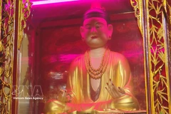 Unique statue of Mother Goddess in Vietnamese sculpture