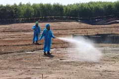 AO detoxification at Bien Hoa airbase (Photo: VNA)