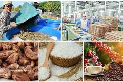 Agro-forestry-fishery exports rise over 14% in H1