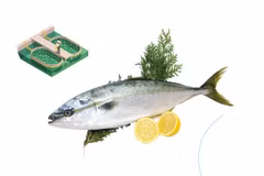 Vietnam becomes the first country to successfully breed yellowtail amberjack