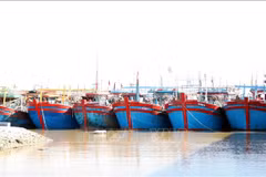 Ninh Binh steps up awareness raising to combat illegal fishing