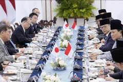 At the talks between Japanese Prime Minister Ishiba Shigeru and Indonesian President Prabowo Subianto on January 11 (Photo: Kyodo/VNA)