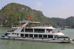 Multiple localities record surge in early year tourism revenues