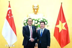 Minister of Industry and Trade Nguyen Hong Dien (R) holds talks with Second Minister for Trade and Industry on the expansion of cooperation in economy, trade, and energy in March last year. (Photo: VNA)