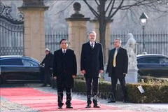 Czech PM hosts official welcome ceremony for Vietnamese counterpart