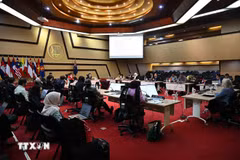 At the 13th Meeting of the ASEAN–New Zealand Joint Cooperation Committee (Photo: VNA)