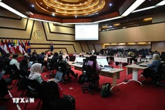 At the 13th Meeting of the ASEAN–New Zealand Joint Cooperation Committee (Photo: VNA)