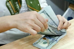 The daily reference exchange rate for the US dollar is set at 24,668 VND/USD on February 26 (Photo: VNA)