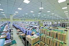 Bac Ninh has doubled its strength following its merger with Bac Giang, another magnet for foreign investment flows. (Photo: baodautu.vn)