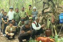 Unique forest worship ritual of Jrai ethnic people