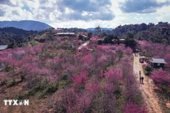 Tourism in Dien Bien shows strong start in early 2026