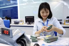 As of July 28, the total outstanding loan rises by 9.64% compared to the end of last year. (Photo: VNA)