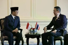 Indonesian Foreign Minister Sugiono (left) meets Thai Foreign Minister Maris Sangiampongsa at the 10th JCM in Bangkok. (Photo: Antara)