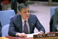 Permanent Representative of Vietnam to the United Nations Ambassador Dang Hoang Giang at the open ministerial discussion on the situation in the Middle East and Palestine on January 21. (Photo: VNA)