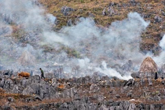 Dong Van Karst Plateau named Asia’s leading cultural destination