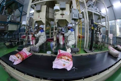 Senegal is a potential market for Vietnamese rice. (Photo: VNA)