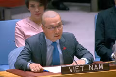 Minister Counsellor Nguyen Hoang Nguyen, Deputy Permanent Representative of Vietnam to the UN. (Photo: VNA)