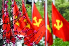 The Communist Party of Vietnam has played a pivotal role in the country’s development. (Photo: VNA)