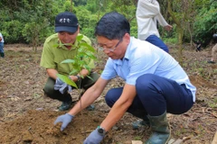 Attendees take part in planting trees at the Cuc Phuong National Park. (Photo: VNA)