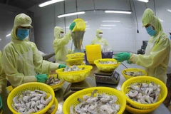Proactive innovation key to sustaining Vietnam’s seafood export growth
