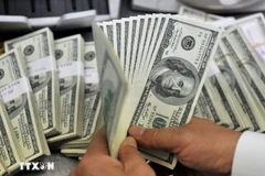 HCM City's total remittance inflows are estimated to exceed 5.3 billion USD for the first half of this year. (Photo: VNA)