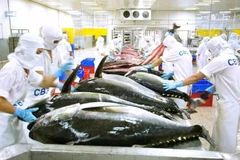 The "yellow card" has impacted Vietnamese seafood exports to the European markets. (Photo: sggp.org.vn)