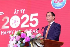 Deputy Prime Minister and Minister of Foreign Affairs Bui Thanh Son speaks at the press meeting in Hanoi on January 14. (Photo: VNA)