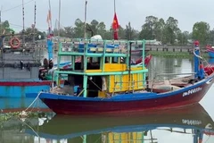 Da Nang restructures fishing fleet to protect coastal resources