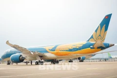 The Boeing 787-9 Dreamliner with special livery featuring the chim Lac (Photo: VNA)