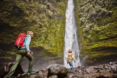 Green transition in tourism: A thorny way