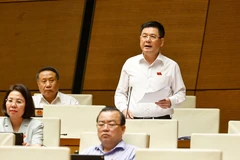 Minister of Industry and Trade Nguyen Hong Dien at the 15th National Assembly’s 9th session on June 17 (Photo: VNA)