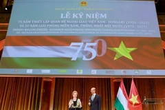 Vietnam – Hungary comprehensive partnership grows across fields