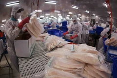 Packing tra fish fillets for export at Sao Mai Group's factory (Photo: VNA)