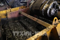 Coal production in Quang Ninh province (Photo: VNA)