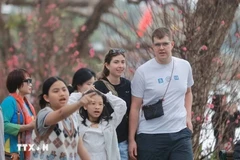 Vietnam tourism sets new record for int’l arrivals in early 2025 