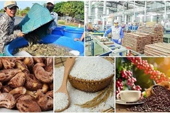 Agro-forestry-fishery exports rise over 14% in H1