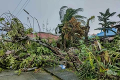 The Phillipines sees an average 20 storms a year. (Photo: Xinhua/VNA)