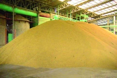 A stockpile of rice in storage. (Photo: Thailand's Ministry of Commerce)